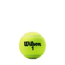 Pelotas de Tenis Wilson Championship Regular Duty en Envase 3 unidades (T1003)