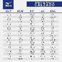 Mizuno.webp