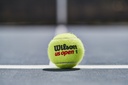 Caja de Pelotas Tenis Wilson Us Open Extra Duty TX24