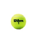 Combo Pelotas de Tenis Wilson Championship Extra Duty 3P X 4T 
