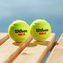 Combo de Pelotas de Padel Wilson Tarro 3P X 6T
