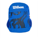 Morral Wilson Plasm Universitario