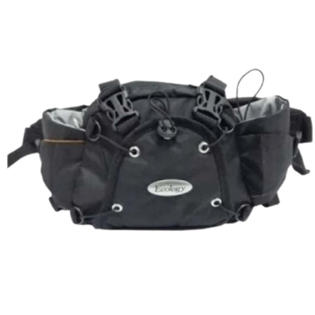 Koala Ecology Yacambú