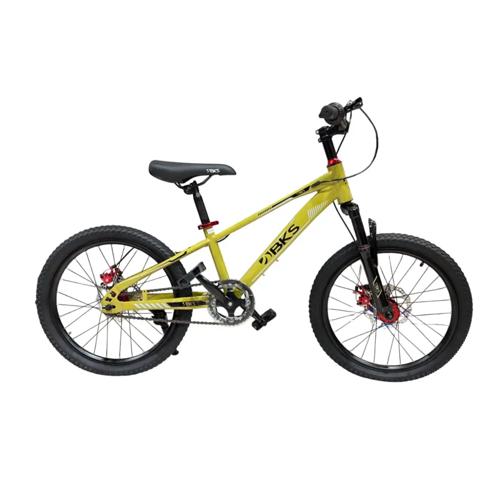 Bicicleta para niños Rin 20 BKS Dash