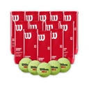 Combo de Pelotas de Padel Wilson Tarro 3P X 12T