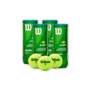 Combo Pelotas de Tenis Transicion Wilson Punto Verde 3P X 4T